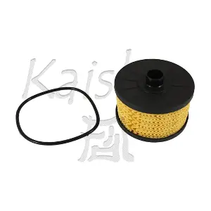 O1010 KAISHIN