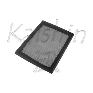 A10069 KAISHIN