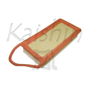A10152 KAISHIN