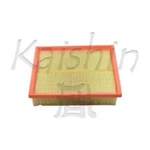 A10249 KAISHIN