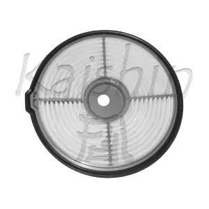 A791 KAISHIN