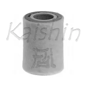 A10127 KAISHIN