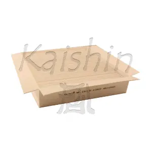 A20037 KAISHIN