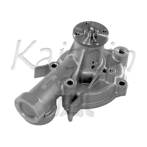 WPK145 KAISHIN
