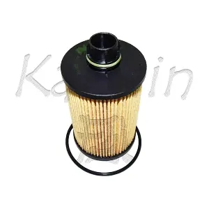 O1003 KAISHIN