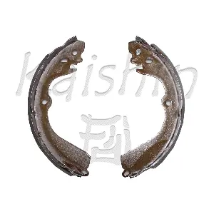 K10028 KAISHIN