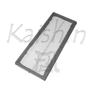 A976 KAISHIN