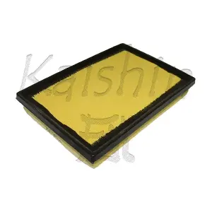 A10266 KAISHIN