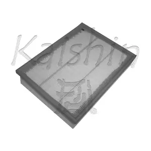 A10110 KAISHIN