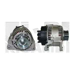AMM106 AUTOTEAM