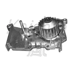 WPA365 AUTOTEAM