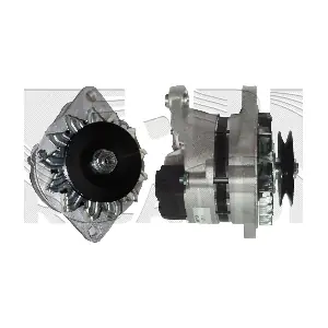AMM113A AUTOTEAM
