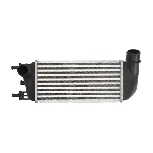 THERMOTEC DAF010TT
