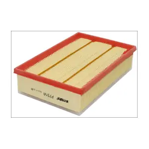 P751A MISFAT