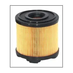 F691 MISFAT