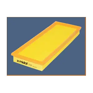 P024 MISFAT