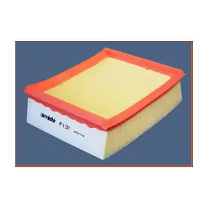 P131 MISFAT