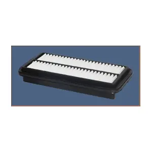 P455 MISFAT