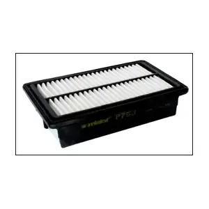 P753 MISFAT