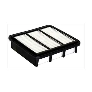 P456 MISFAT