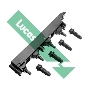 DMB875 LUCAS