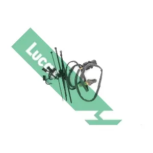 LEB975 LUCAS