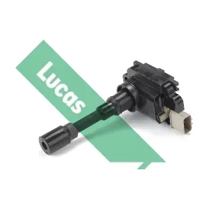 DMB1031 LUCAS