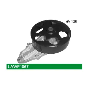 LAWP1067 LUCAS