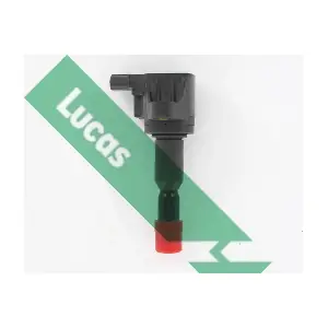 DMB5023 LUCAS
