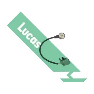 SEB1462 LUCAS