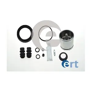401669RK ERT