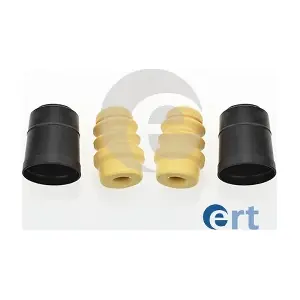 520118 ERT