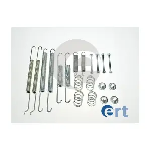 310007 ERT