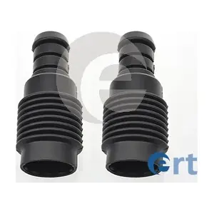 520029 ERT