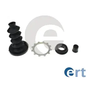 300010 ERT