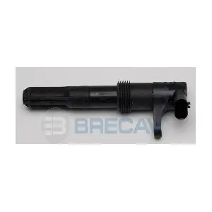 40100321 BorgWarner (BERU)