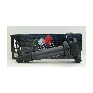 133.008 BRECAV