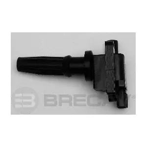 129.003 BRECAV