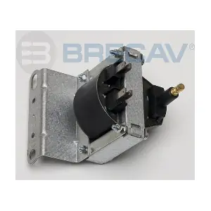 209.009 BRECAV