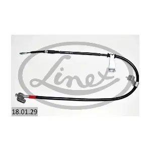 18.01.29 LINEX