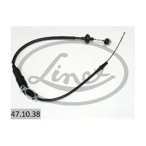 47.10.38 LINEX