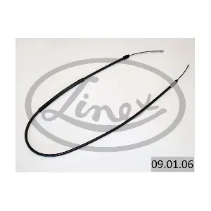 09.01.06 LINEX