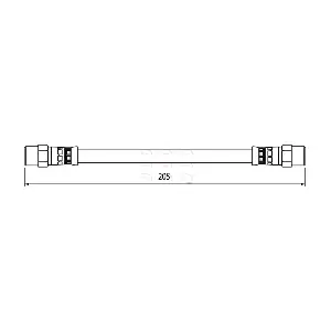 HOS4107 APEC