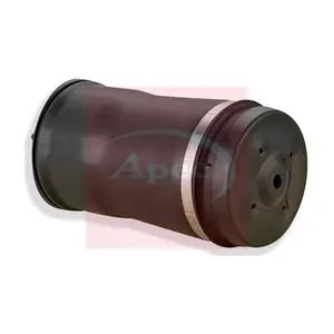 AAS1015 APEC