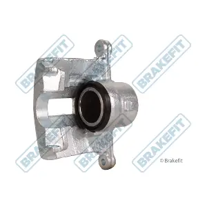 BCA1101 APEC