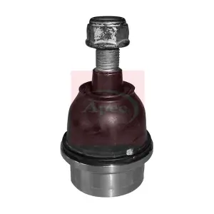AST0101 APEC