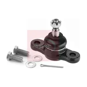 AST0177 APEC