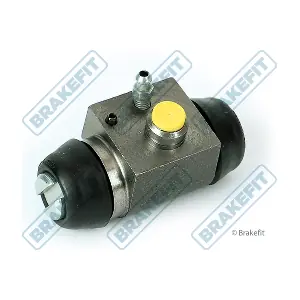 BWC8173 APEC