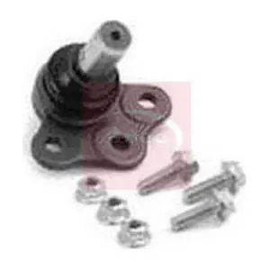 AST0201 APEC