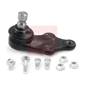 AST0154 APEC